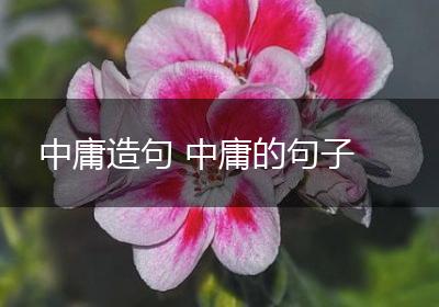 中庸造句 中庸的句子