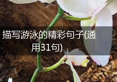 描写游泳的精彩句子(通用31句)