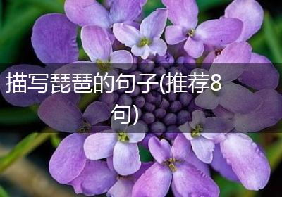 描写琵琶的句子(推荐8句)
