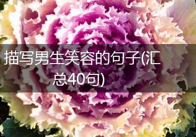 描写男生笑容的句子(汇总40句)
