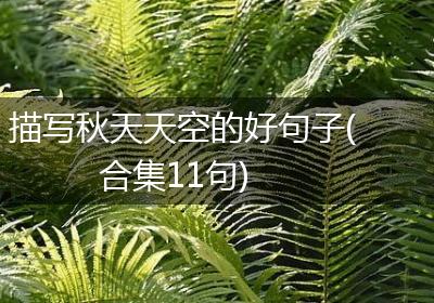 描写秋天天空的好句子(合集11句)