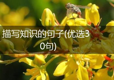 描写知识的句子(优选30句)