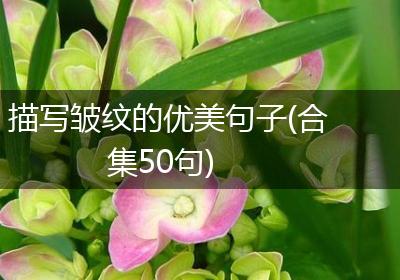 描写皱纹的优美句子(合集50句)