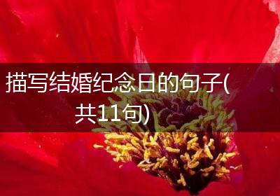 描写结婚纪念日的句子(共11句)