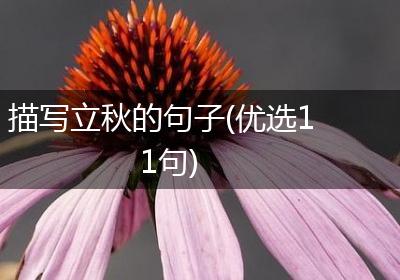 描写立秋的句子(优选11句)