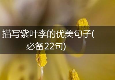 描写紫叶李的优美句子(必备22句)