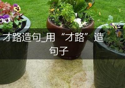 才路造句_用“才路”造句子