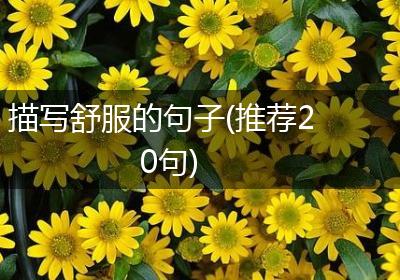 描写舒服的句子(推荐20句)