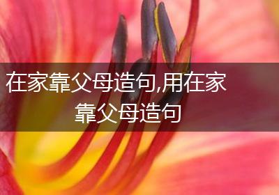 在家靠父母造句,用在家靠父母造句