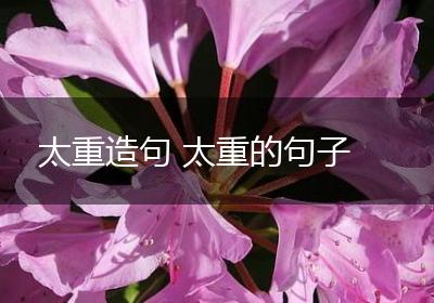 太重造句 太重的句子