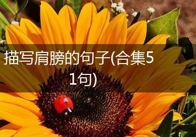 描写肩膀的句子(合集51句)