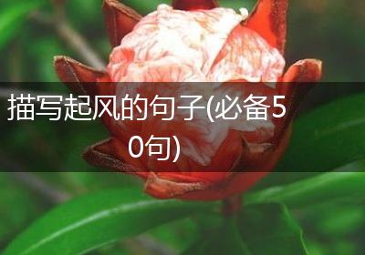 描写起风的句子(必备50句)