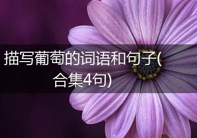 描写葡萄的词语和句子(合集4句)