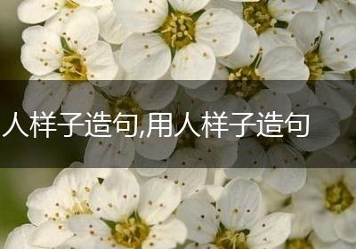 人样子造句,用人样子造句