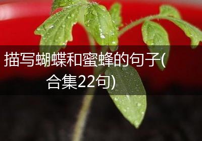 描写蝴蝶和蜜蜂的句子(合集22句)