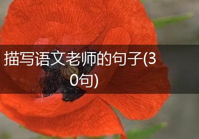 描写语文老师的句子(30句)