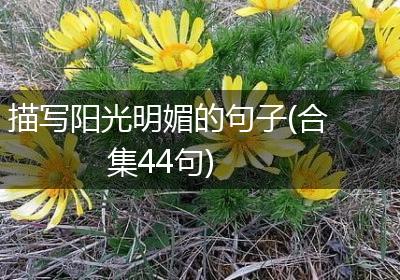 描写阳光明媚的句子(合集44句)