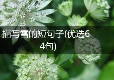 描写雪的短句子(优选64句)