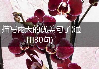 描写雨天的优美句子(通用30句)