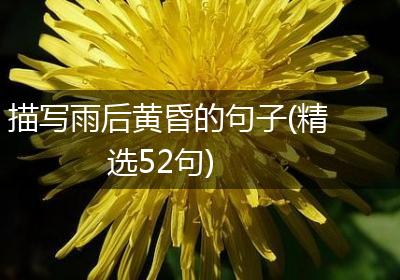 描写雨后黄昏的句子(精选52句)