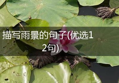 描写雨景的句子(优选12句)