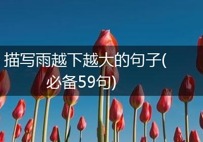 描写雨越下越大的句子(必备59句)