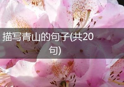 描写青山的句子(共20句)