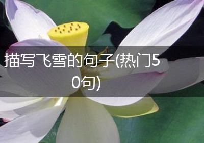 描写飞雪的句子(热门50句)