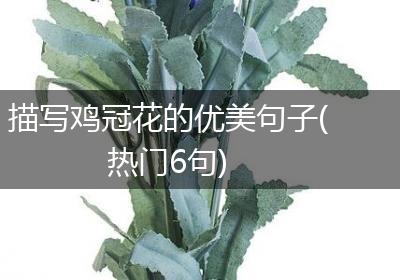 描写鸡冠花的优美句子(热门6句)