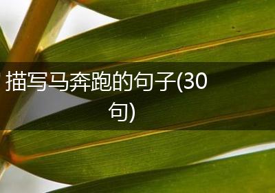 描写马奔跑的句子(30句)