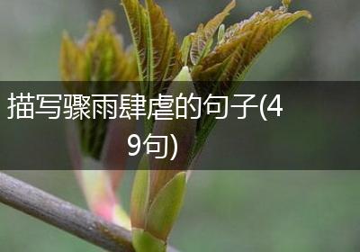 描写骤雨肆虐的句子(49句)