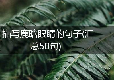 描写鹿晗眼睛的句子(汇总50句)