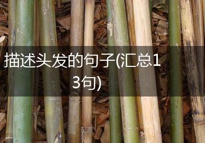 描述头发的句子(汇总13句)