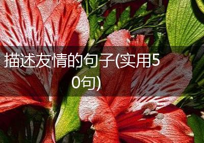 描述友情的句子(实用50句)