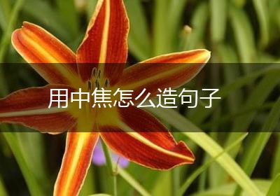 用中焦怎么造句子