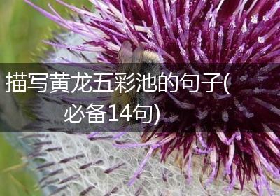 描写黄龙五彩池的句子(必备14句)