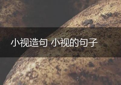 小视造句 小视的句子
