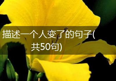 描述一个人变了的句子(共50句)