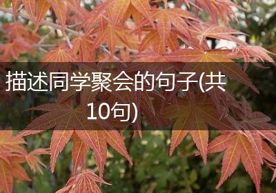 描述同学聚会的句子(共10句)