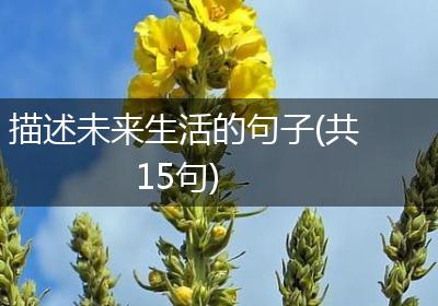 描述未来生活的句子(共15句)