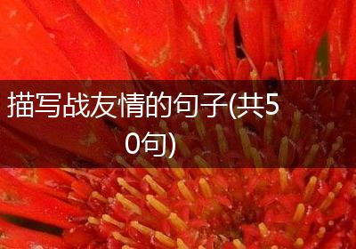 描写战友情的句子(共50句)