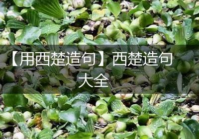 【用西楚造句】西楚造句大全