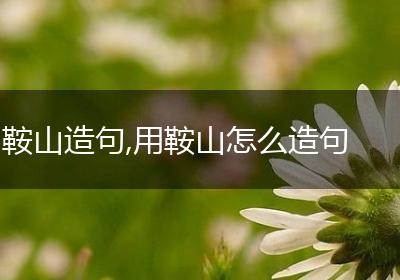 鞍山造句,用鞍山怎么造句