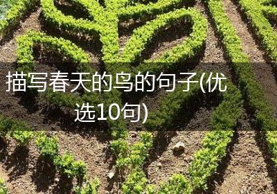 描写春天的鸟的句子(优选10句)
