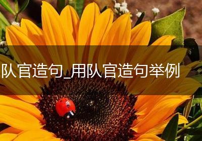 队官造句_用队官造句举例