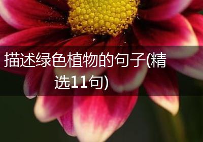 描述绿色植物的句子(精选11句)