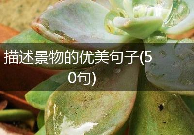 描述景物的优美句子(50句)
