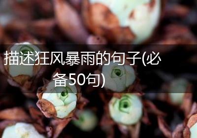 描述狂风暴雨的句子(必备50句)