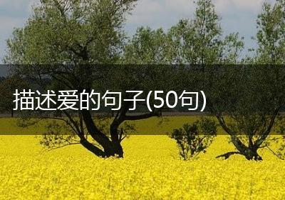 描述爱的句子(50句)