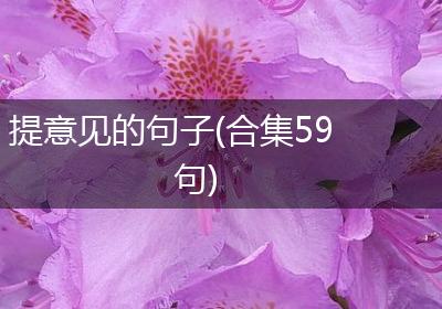 提意见的句子(合集59句)